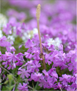 Screen Shot 2014-10-31 at 7.53.20 PM