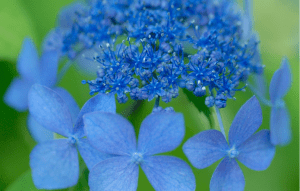 Screen Shot 2014-10-31 at 7.53.52 PM