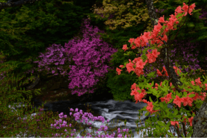 Screen Shot 2014-10-31 at 7.55.50 PM