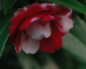 Screen Shot 2014-10-31 at 7.56.16 PM