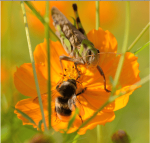 Screen Shot 2014-10-31 at 7.56.31 PM