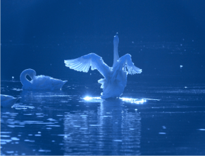 Screen Shot 2014-10-31 at 7.57.23 PM