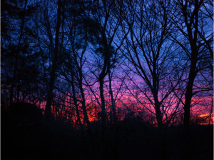 Screen Shot 2014-10-31 at 8.36.57 PM