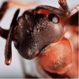 Screen Shot 2014-11-03 at 9.05.14 AM