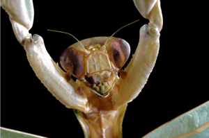 Screen Shot 2014-11-03 at 9.06.00 AM