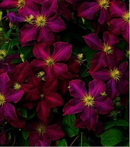 Screen Shot 2014-11-06 at 10.18.41 PM