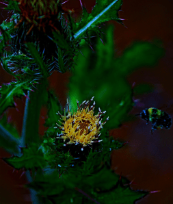 Screen Shot 2014-11-06 at 10.22.28 PM