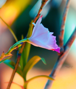 Screen Shot 2014-11-06 at 2.11.54 AM