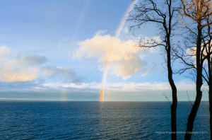 Screen Shot 2014-11-06 at 7.02.25 PM