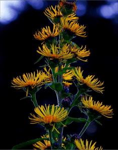 Screen Shot 2014-11-06 at 9.25.24 PM