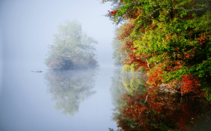 Screen Shot 2014-11-06 at 9.52.40 AM