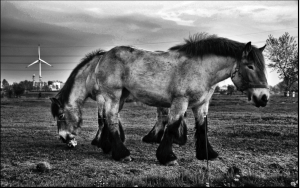 Screen Shot 2014-11-08 at 12.25.44 AM