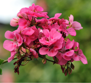 Screen Shot 2014-11-08 at 2.54.05 AM