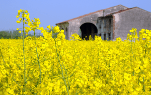 Screen Shot 2014-11-08 at 9.05.15 AM