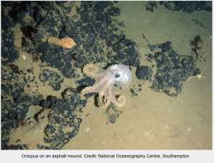 Screen Shot 2014-11-09 at 10.34.56 PM