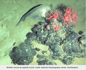 Screen Shot 2014-11-09 at 10.35.18 PM