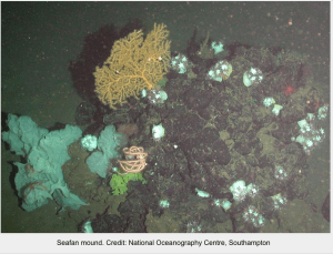 Screen Shot 2014-11-09 at 10.35.42 PM