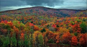 Screen Shot 2014-11-09 at 8.46.01 PM