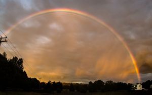 6a0105371bb32c970b01b7c7123cc2970b-750wi