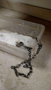 daily_picdump_1677_640_17