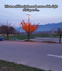 daily_picdump_1686_640_32