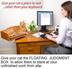 funny-cat-resting-desk-add-on