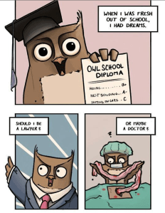 Screen Shot 2014-11-19 at 4.27.54 PM