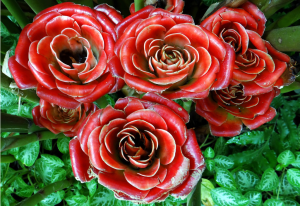 Screen Shot 2014-12-10 at 7.21.26 PM