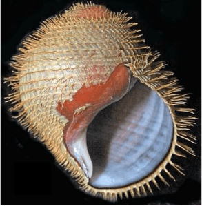 Screen Shot 2014-12-16 at 6.45.42 PM