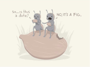 Screen Shot 2014-12-20 at 9.19.39 PM