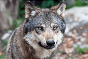 Screen Shot 2014-12-26 at 10.10.42 PM