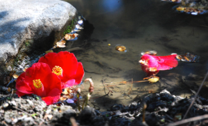 Screen Shot 2014-12-26 at 10.20.51 PM