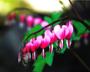 Screen Shot 2014-12-26 at 10.21.18 PM