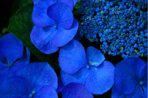 Screen Shot 2014-12-26 at 10.45.13 PM