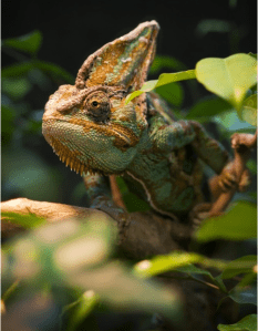 Screen Shot 2014-12-26 at 8.48.30 PM