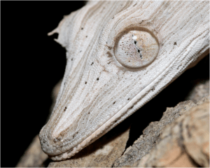 Screen Shot 2014-12-27 at 11.50.36 PM