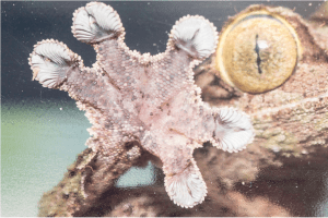 Screen Shot 2014-12-27 at 11.50.59 PM