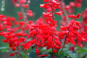 Screen Shot 2014-12-28 at 1.26.12 AM