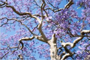 Screen Shot 2014-12-28 at 2.52.48 AM