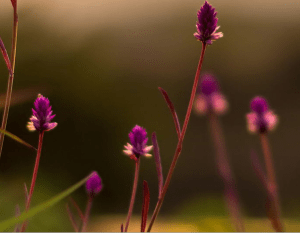 Screen Shot 2014-12-28 at 3.19.51 AM