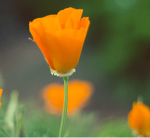 Screen Shot 2014-12-28 at 3.29.42 AM