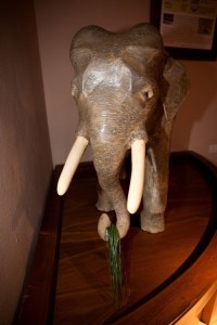 tumblr_inline_n5saqqmEVx1s4xmon