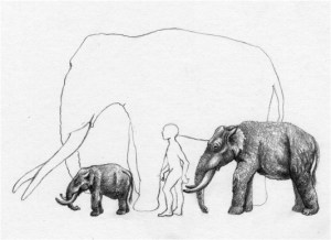 tumblr_mw5ylnsECN1r4f0qjo1_1280