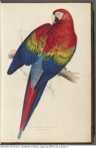 tumblr_n1sb4eRewI1s83h8do2_500