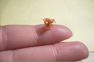 10001364_10152324478987533_1502463270_n