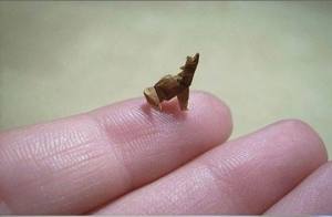 10003542_10152324479122533_1633424105_n