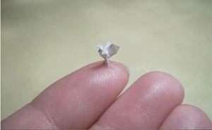 10014669_10152324479117533_827502447_n