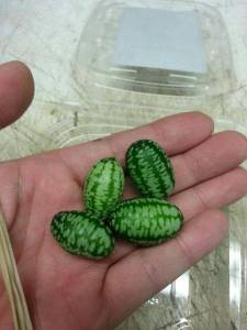 1004882_10151827173932533_1079574761_n