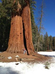 1016450_10152262340987533_1042868024_n