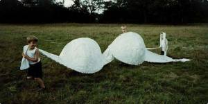 10390305_10152508397512533_896411946386199743_n